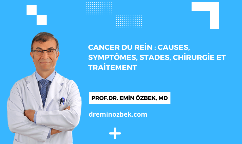 Cancer du rein : Causes, symptômes, stades, chirurgie et traitement