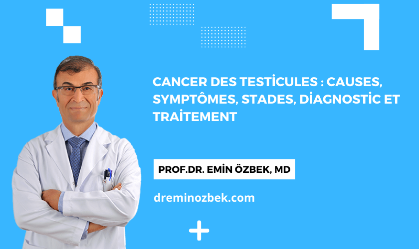 Cancer des testicules : Causes, Symptômes, Stades, Diagnostic et Traitement