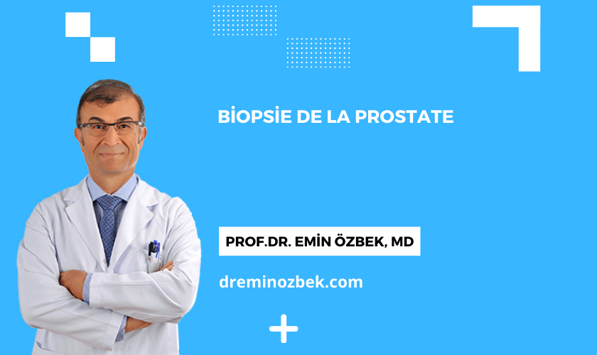Biopsie de la Prostate
