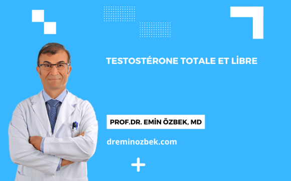 Testostérone Totale et Libre