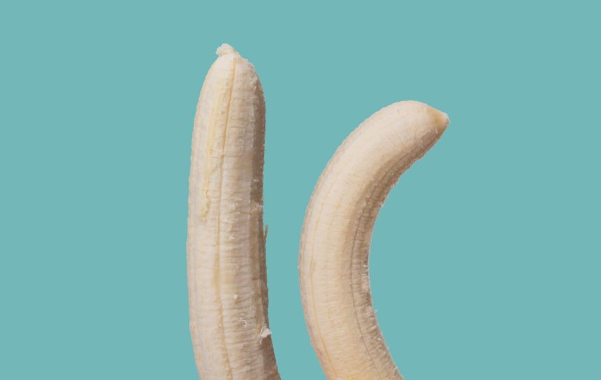 Courbure Congénitale du Pénis et Traitement