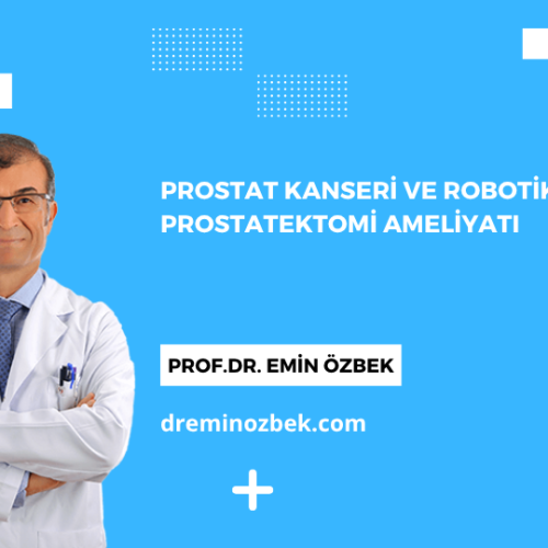 Prostat Kanseri ve Robotik Radikal Prostatektomi Ameliyatı
