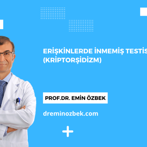 Erişkinlerde İnmemiş Testis (Kriptorşidizm)