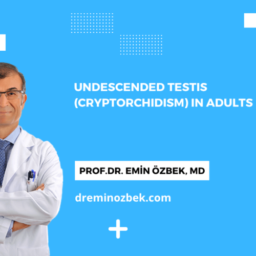 Undescended Testis (Cryptorchidism) in Adults
