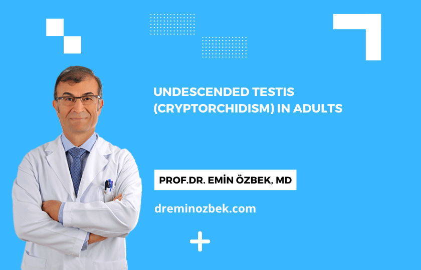 2 Undescended Testis (Cryptorchidism) in Adults