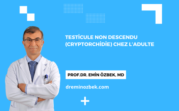 Testicule Non Descendu (Cryptorchidie) Chez l’adulte