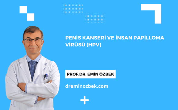 Penis Kanseri ve İnsan Papilloma Virüsü (HPV)