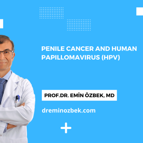 Penile Cancer and Human Papillomavirus (HPV)